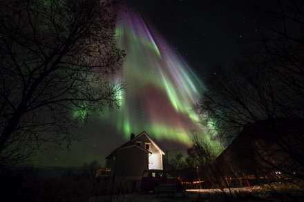 Lofoten northern lights, aurora