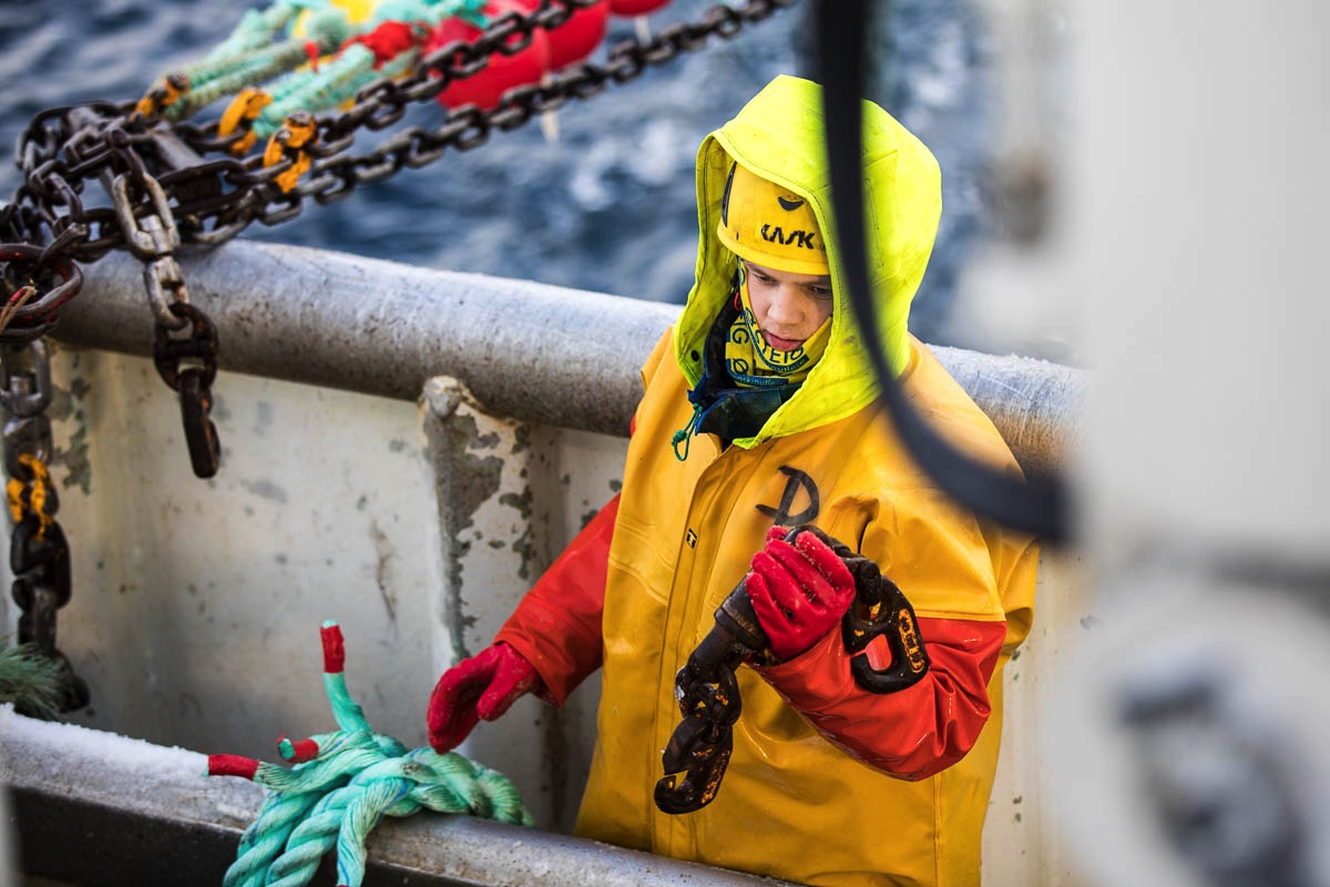 lofoten fisheries