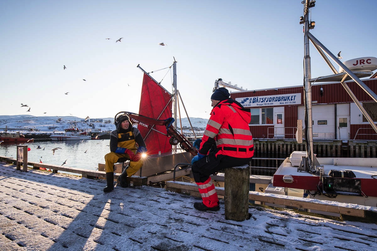 lofoten fisheries