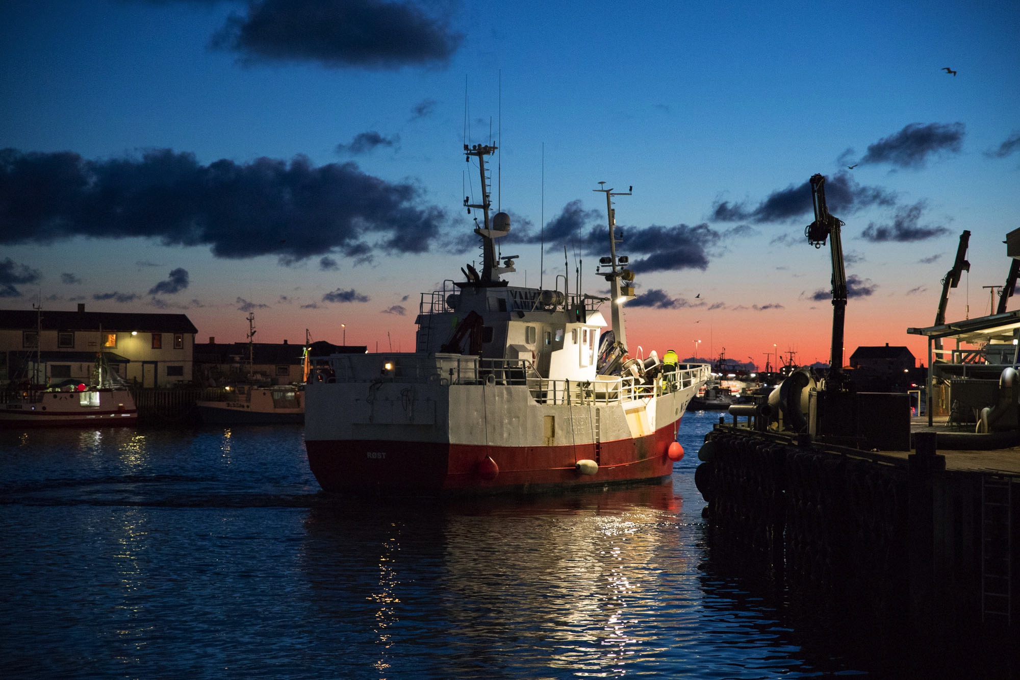 fisheries around lofoten islands has been very important for the whole of norway for hundreds of years