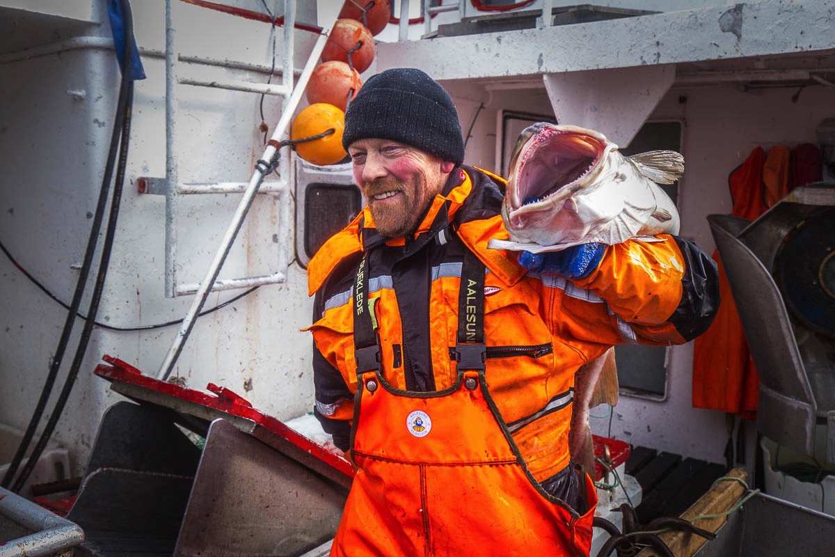 lofoten cod fisheries