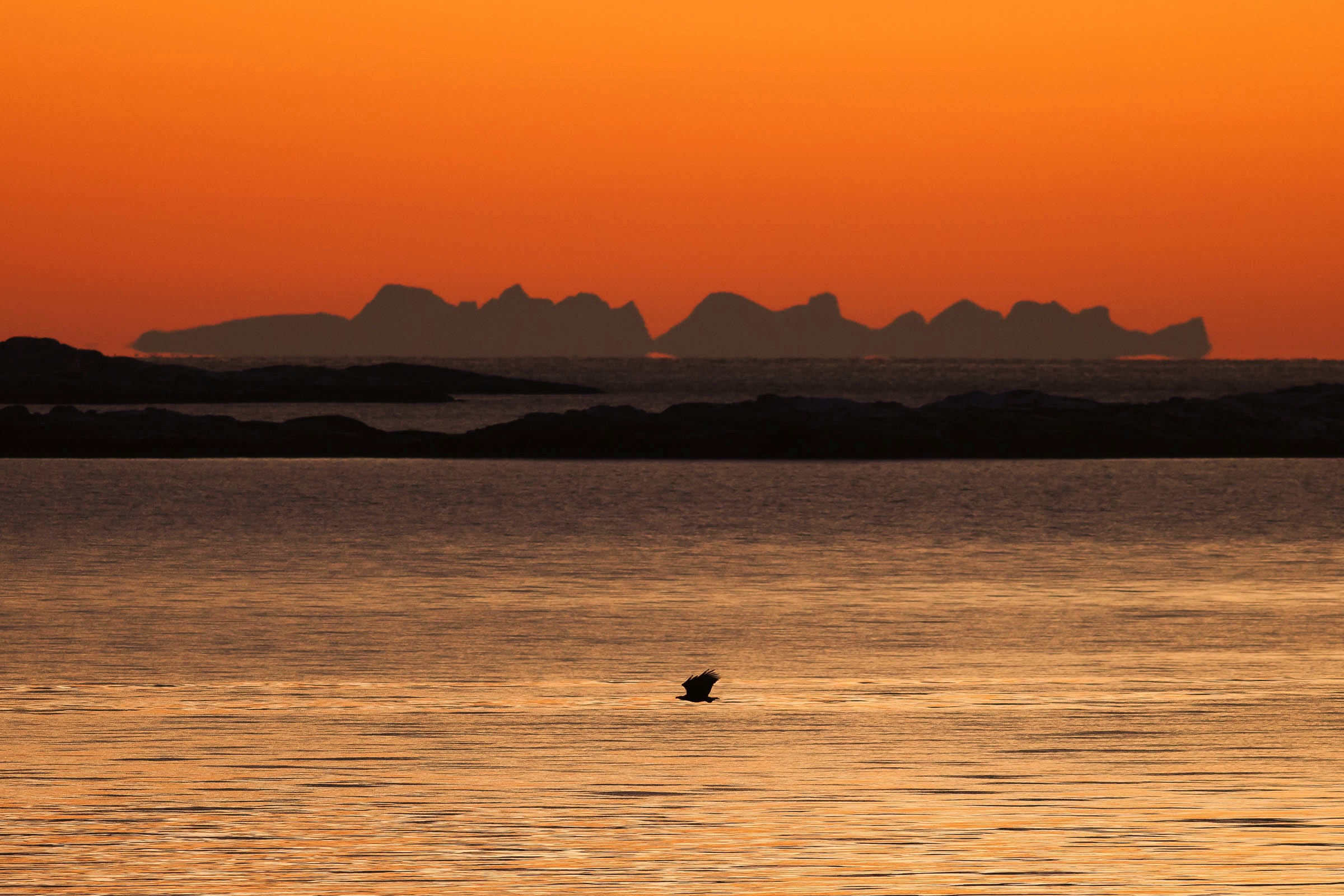 Lofoten polar night