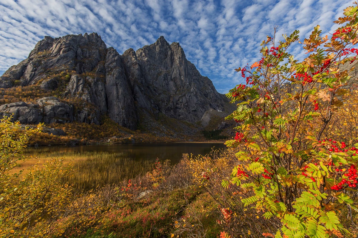 herfst op de Lofoten