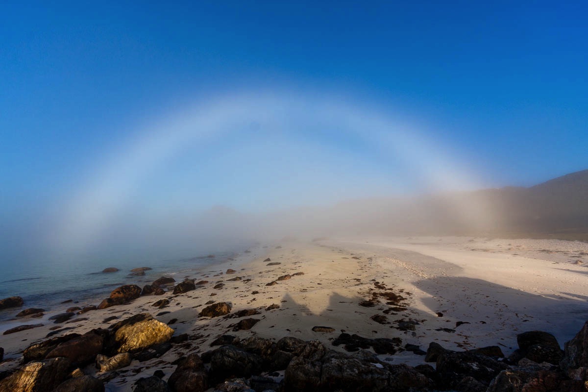 mistboog Lofoten