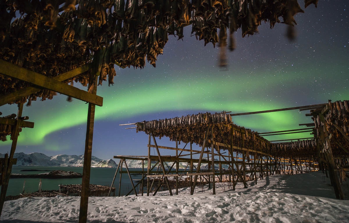 Noorderlicht, aurora, Lofoten