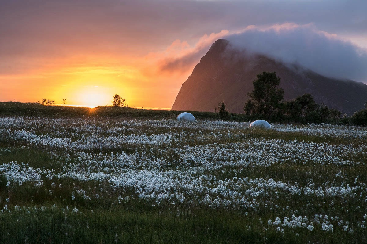 Zomer op de Lofoten